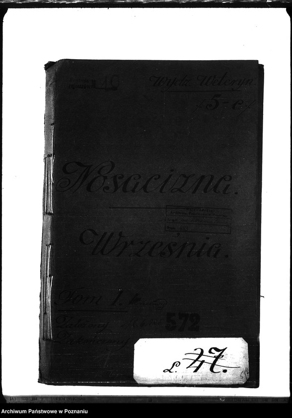 Obraz 4 z jednostki "Nosacizna - Września"