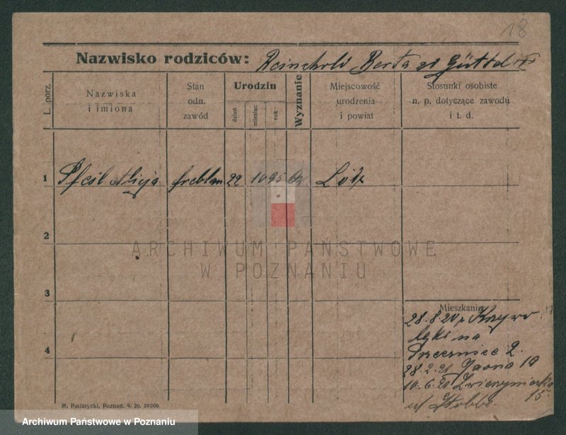 Obraz 20 z jednostki "Pfeifke - Pfleging"