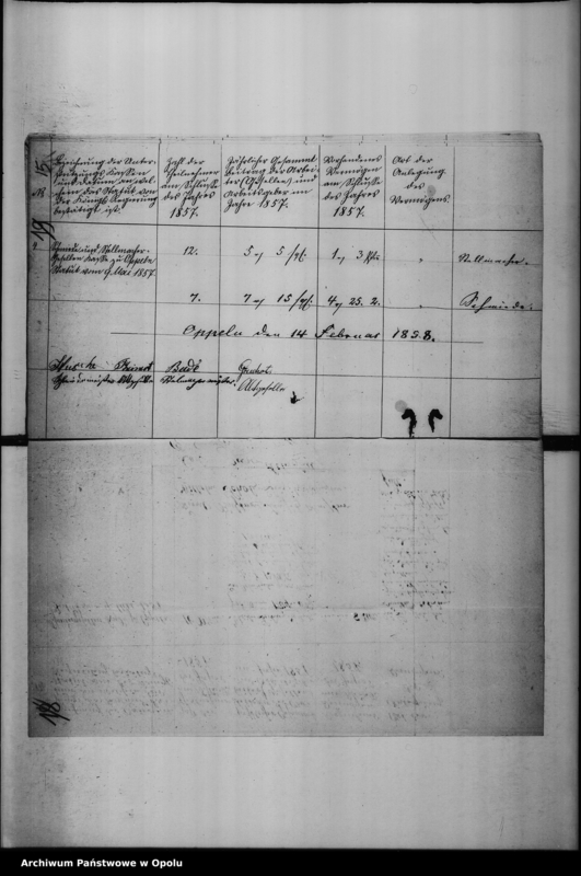 Obraz 14 z jednostki "Acta des Magistrats zu Oppeln betreffend die Hierorts vorhandenen gewerblichen Unterstützungs Kassen Vol. I"