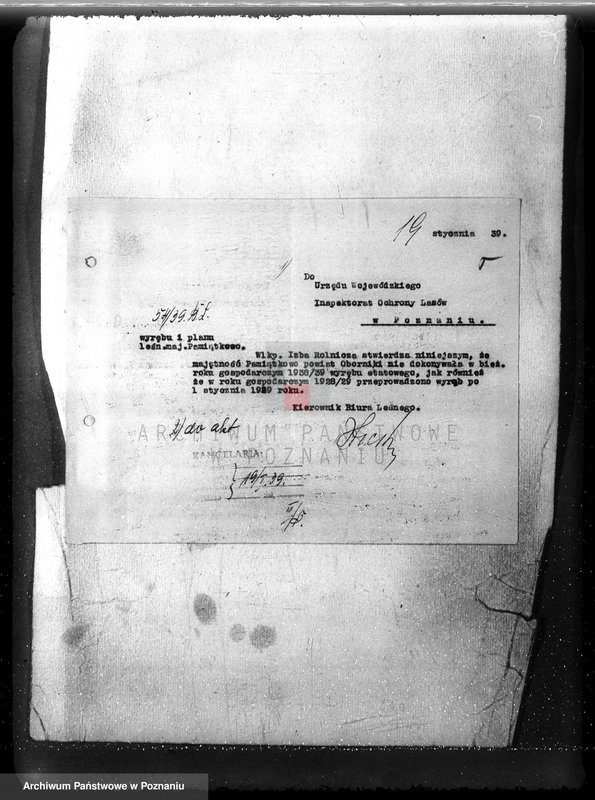 Obraz 9 z jednostki "Majętność /leśna/ Pamiątkowo powiat obornicki"