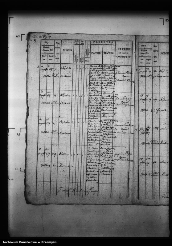 Obraz 12 z jednostki "[Kopie ksiąg metrykalnych parafii Wierzbiany (dekanat Niemirów)]"