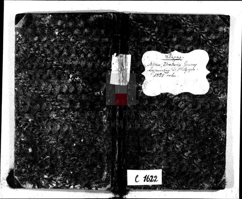 image.from.unit.number "Księga Aktów Urodzenia Gminy Leypuńskiej od 1 Stycznia 1825 roku"