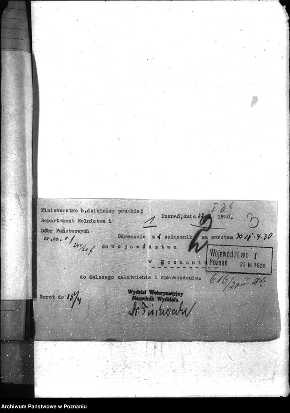 Obraz 7 z jednostki "Nosacizna - Gostyń"