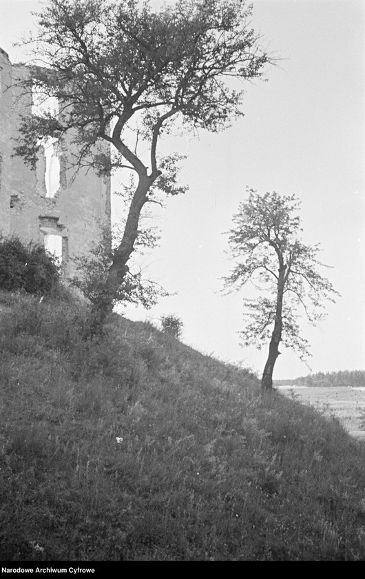 image.from.unit.number "Janowiec"