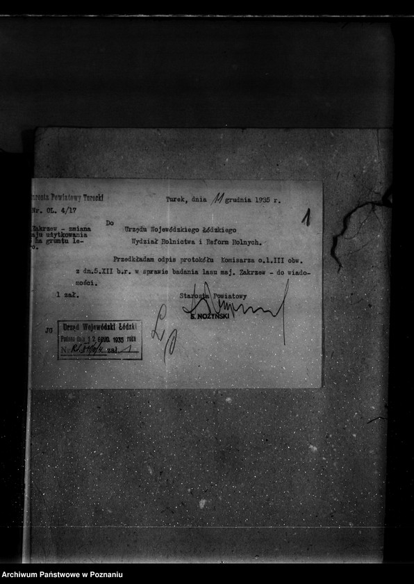 Obraz 5 z jednostki "Parcele leśne pod nazwą,,Zakrzew" powiat turecki"