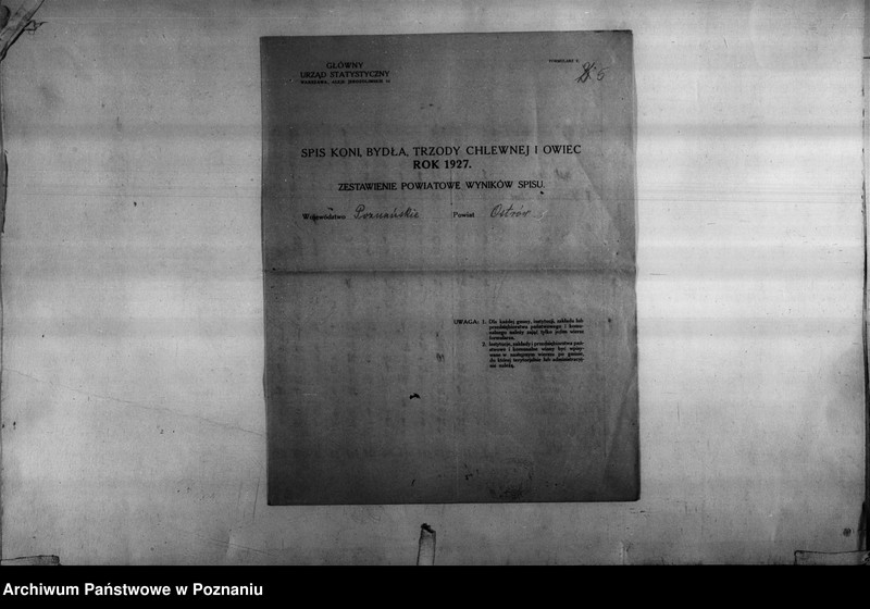 Obraz 6 z jednostki "Spis koni, bydła, trzody chlewnej i owiec - zestawienie z terenu powiatu ostrowskiego"
