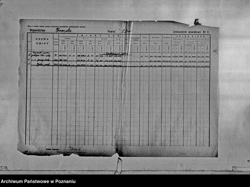Obraz 4 z jednostki "/Statystyka produkcji rolnej - zestawienie powiatowe - Ostrów/"