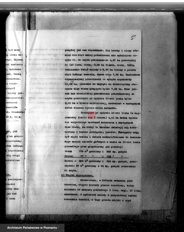 Obraz 9 z jednostki "Plan urządzania gospodarstwa leśnego dla lasu majętności Jezierzyce powiat kościański 1927-1938"