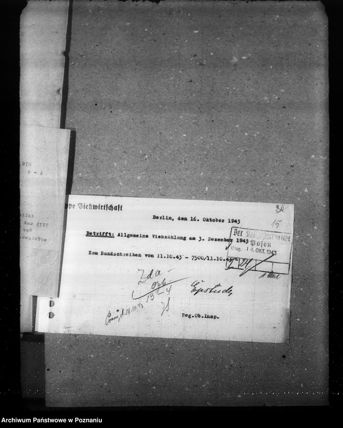 Obraz 20 z jednostki "Korespondencja, formularze i zestawienia wyników w zwiazku ze spisem bydła"