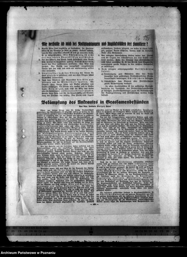 Obraz 20 z jednostki "Notschlachtungen"