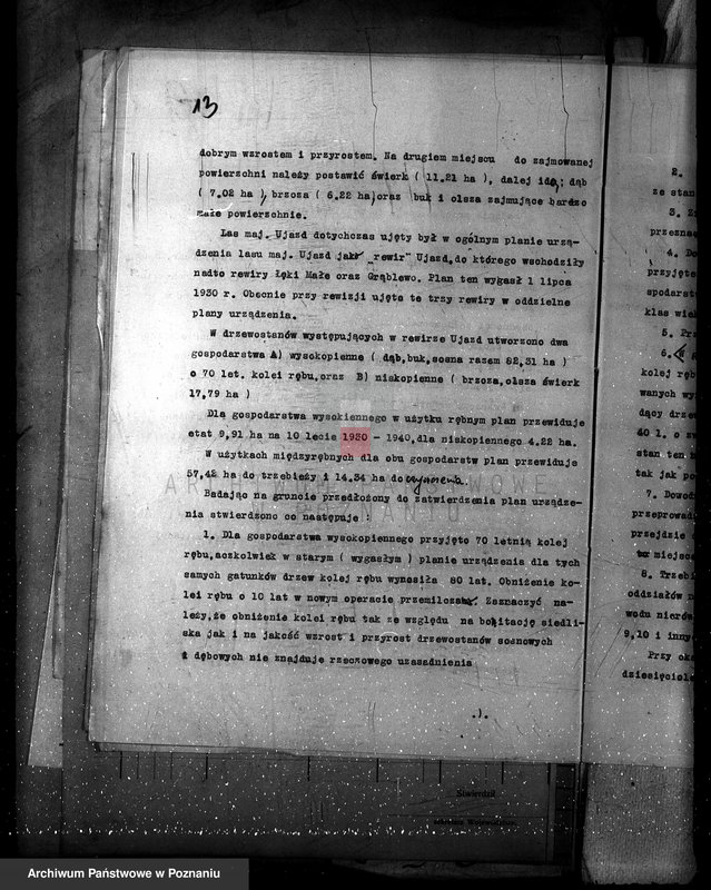 Obraz 19 z jednostki "Nadzór nad gospodarką w lasach majątku Ujazd powiat kościański"