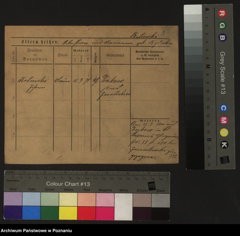 Obraz 6 z jednostki "Skrzypkowiak - Skórnik"