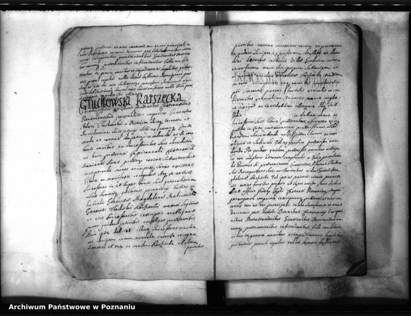 Obraz 6 z jednostki "Inscriptiones [inducta]"