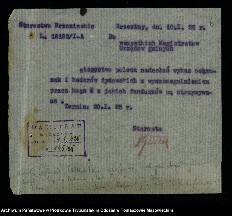 image.from.unit.number "Statystyka Mag[istratu] miasta Brzezin"