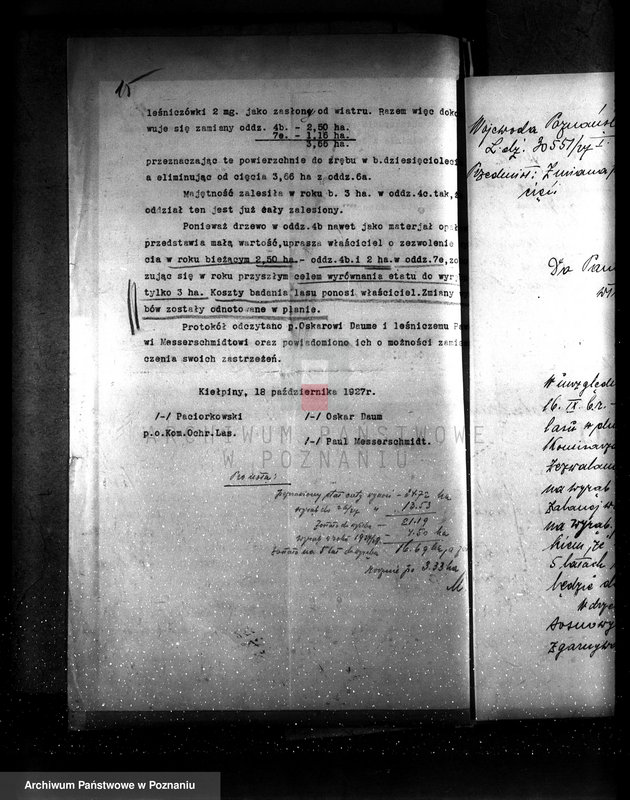 Obraz 20 z jednostki "Majętność leśna Kiełpiny powiat wolsztyński"