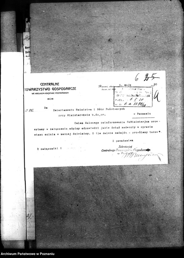 Obraz 10 z jednostki "Ziemiopłody - generalia"