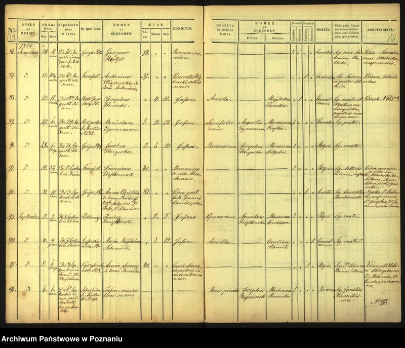 Obraz 12 z jednostki "Księga zgonów"
