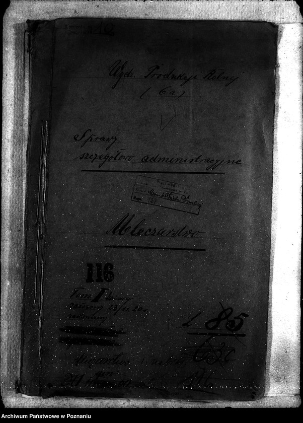 Obraz 4 z jednostki "Sprawy ogólno - administracyjne Mleczarstwo"