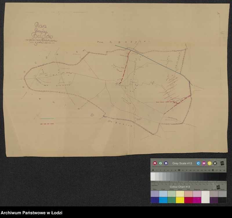 Obraz 1 z jednostki "Plan gminy Bełdów w powiecie i województwie łódzkiem"