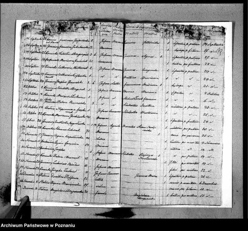 Obraz 12 z jednostki "Duplicat baptisatorum, copulatorum, mortuorum"