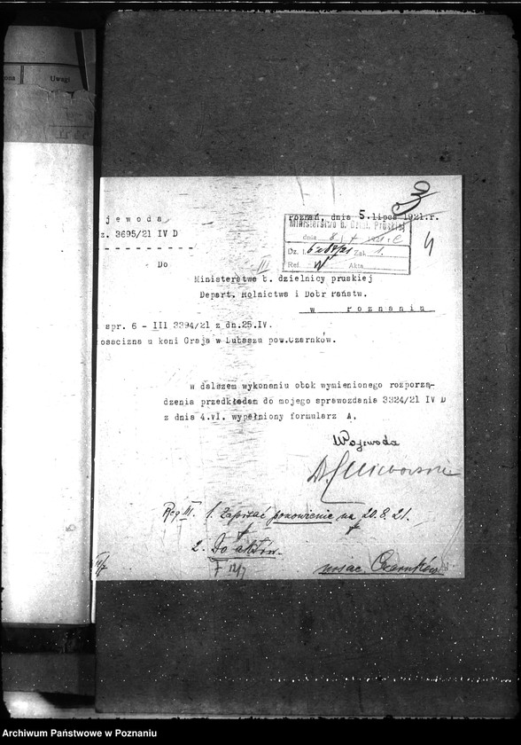 Obraz 8 z jednostki "Nosacizna - Czarnków"