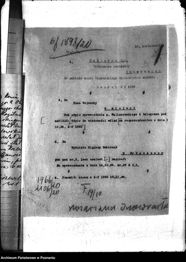 Obraz 7 z jednostki "Nosacizna - Inowrocław"