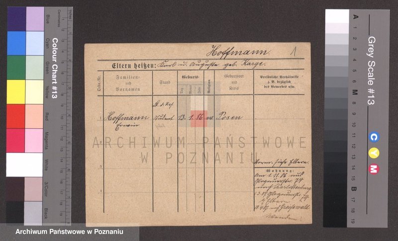 Obraz 1 z jednostki "Hofman (samotni mężczyźni)"