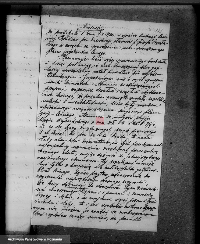 Obraz 17 z jednostki "Lasy majątku Brudzew w powiecie kaliskim"