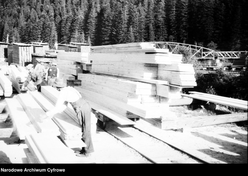 image.from.unit.number "Tartak w Skolem"