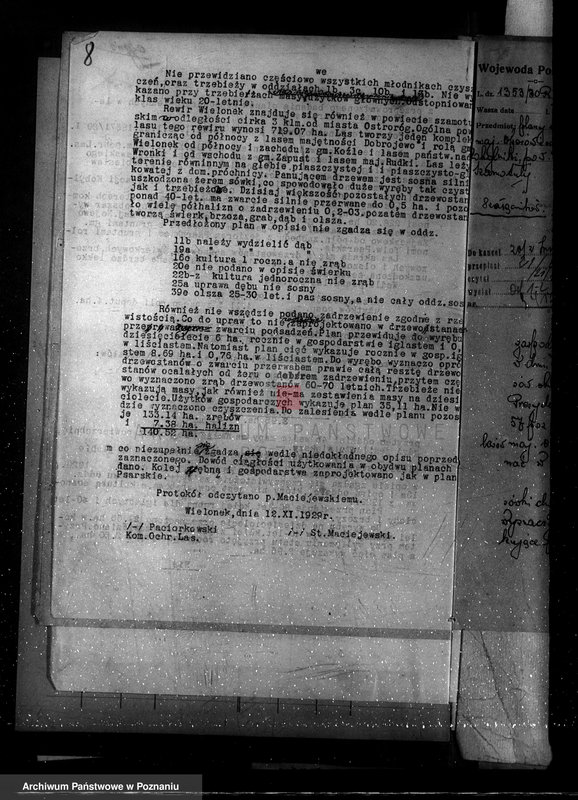 Obraz 12 z jednostki "Nadzór nad gospodarką w lasach majętności Kobylniki powiat kościański"