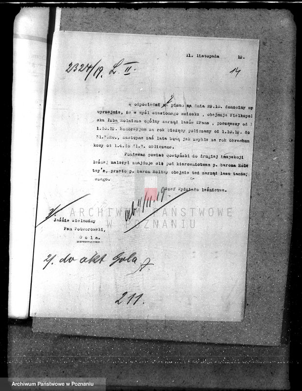 Obraz 17 z jednostki "Majętność leśna Gola w powiecie gostyńskim"