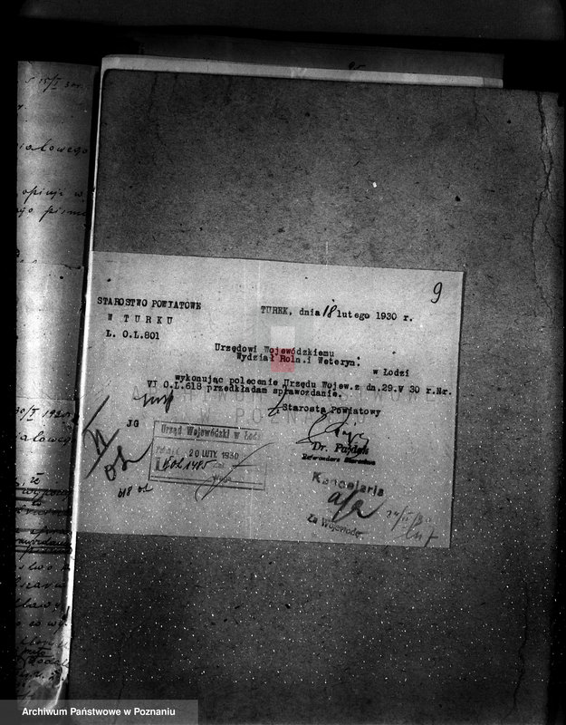 Obraz 13 z jednostki "Sprawa wyłączeń z art.. 4 ustawy z 28 XII 1925 r. i zatwierdzenie projektu planu gospodarczego dla lasu majątku Chocim powiat turecki"