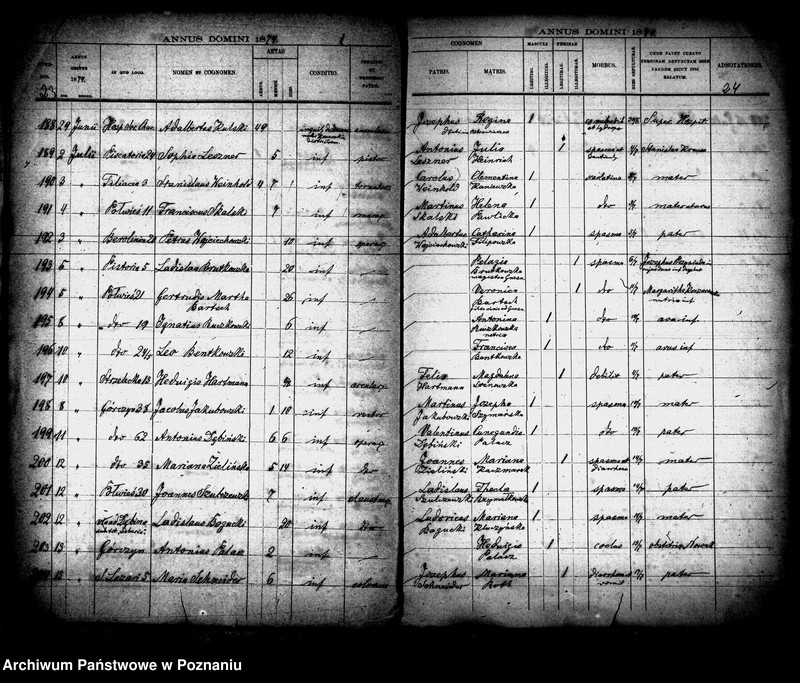 Obraz 12 z jednostki "Księga zgonów"