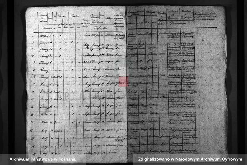 Obraz 4 z jednostki "Duplicatus baptisatorum, copulatorum, mortuorum"