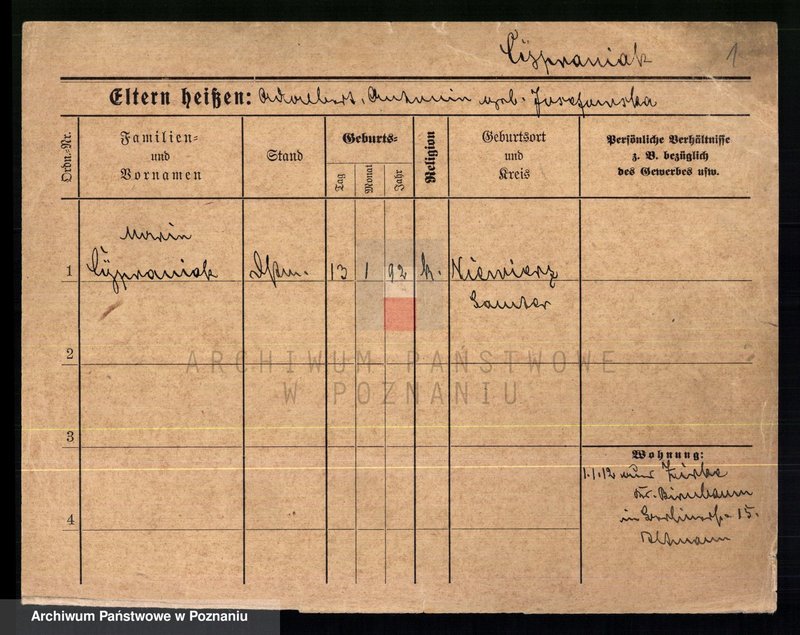 Obraz 3 z jednostki "Cypraniak - Czajka (żony i wdowy)"