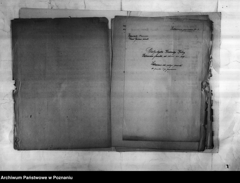 Obraz 5 z jednostki "/Statystyka produkcji rolnej - zestawienie powiatowe z terenu Gniezna/"