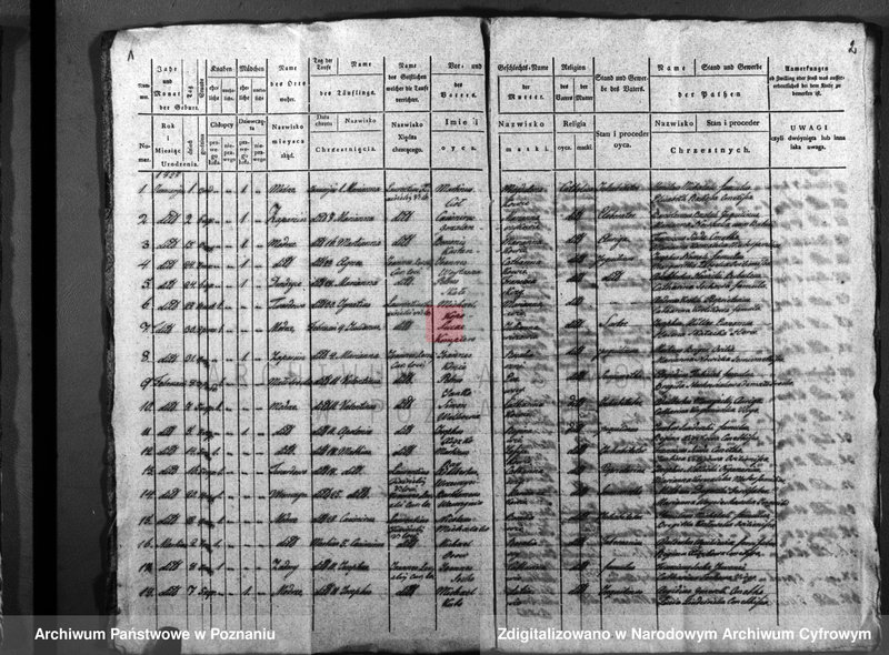 image.from.unit.number "Duplicatus baptisatorum, copulatorum, mortuorum"