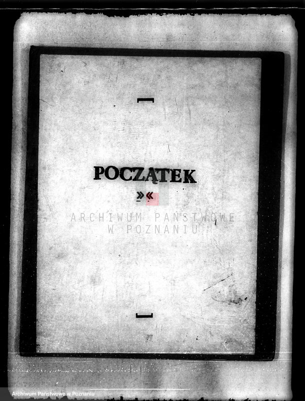 Obraz 3 z jednostki "Lasy majątku Kuźniki powiatu kępińskiego"