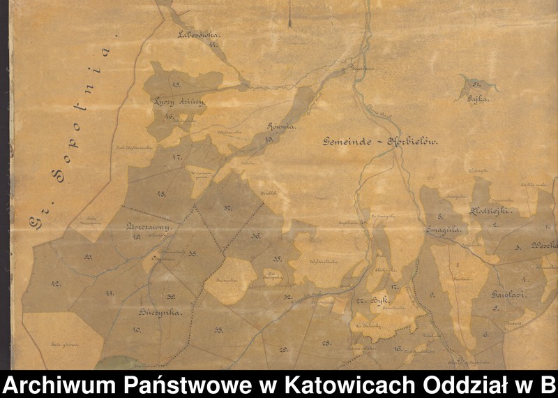 Obraz 16 z kolekcji "Habsburgowie żywieccy111"