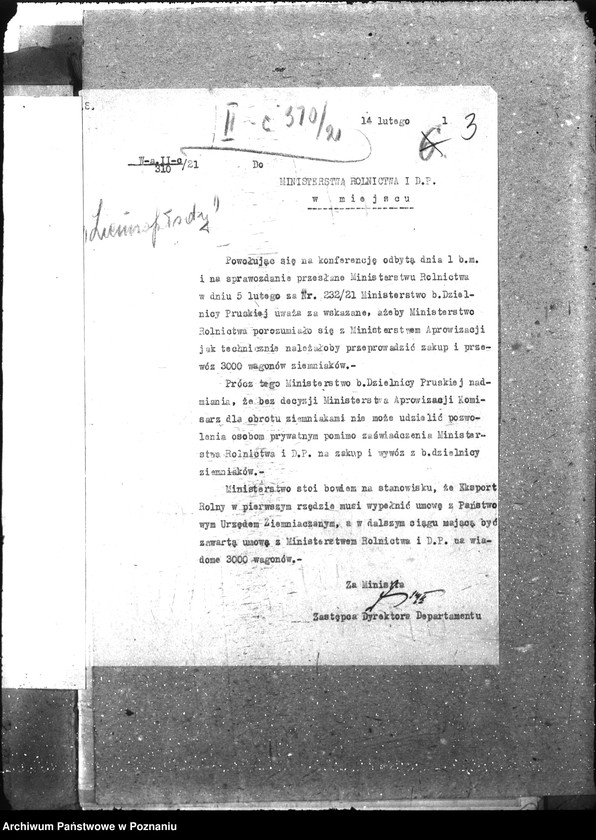 Obraz 7 z jednostki "Ziemiopłody"