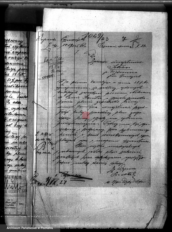 Obraz 11 z jednostki "Majętność leśna Sokołowice powiat kościański"