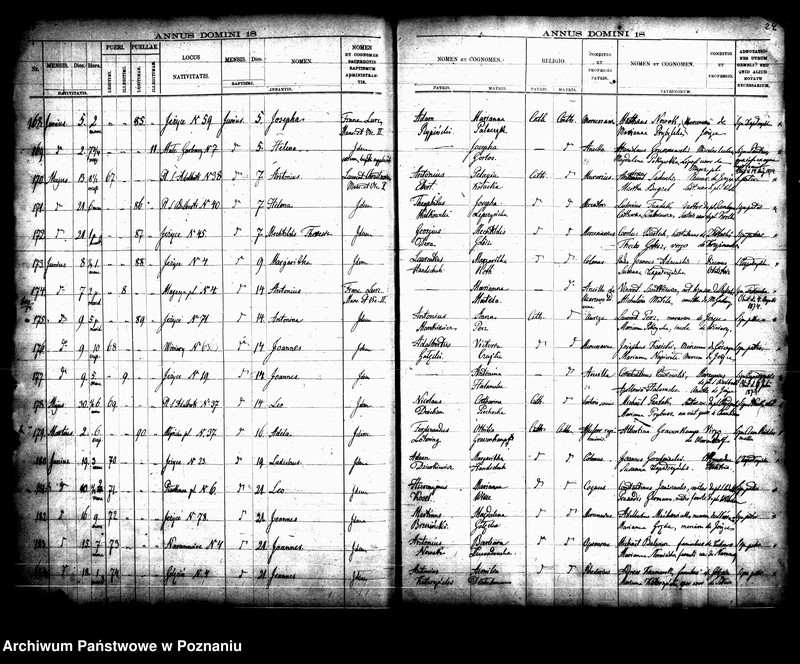 Obraz 18 z jednostki "Księga urodzin"