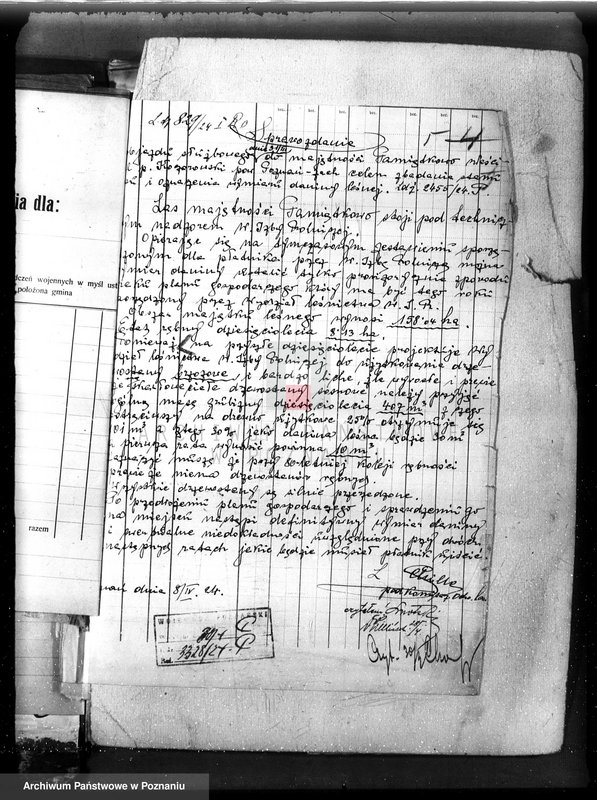 Obraz 11 z jednostki "Nadzór nad gospodarką w lasach majętności Pamiątkowo powiat obornicki"