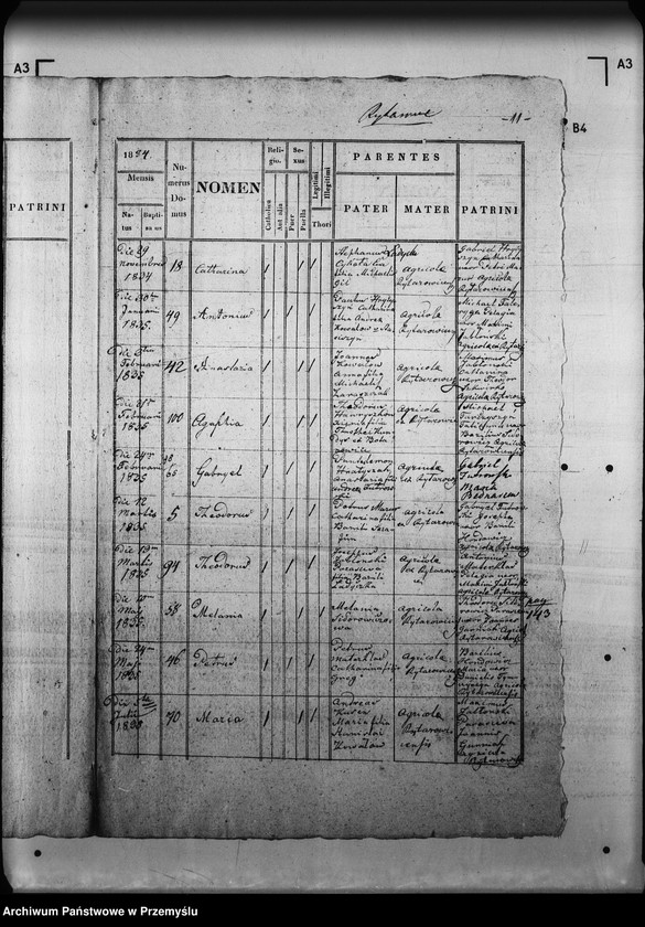 Obraz 15 z jednostki "[Kopie ksiąg metrykalnych parafii Rajtarowice z filiami Rogóźno, Sadkowice (dekanat Mościska)]"