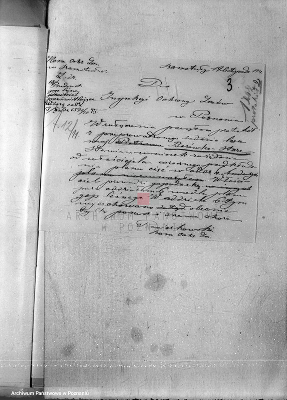 Obraz 7 z jednostki "Majętność Borówko Stare /nadzór nad gospodarką leśną/"