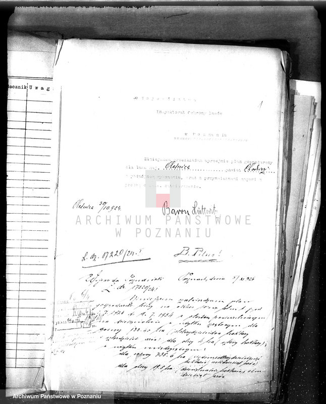 Obraz 5 z jednostki "Majętność leśna Oleśnica w powiecie chodzieskim"