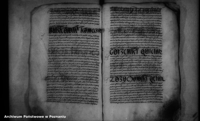 Obraz 4 z jednostki "Inscriptiones [inducta]"