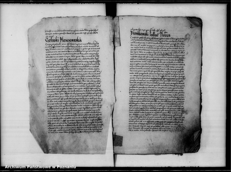 Obraz 7 z jednostki "Inscriptiones, relationes [inducta]"