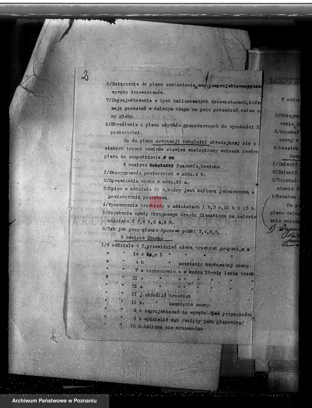 Obraz 6 z jednostki "Nadzór nad gospodarką w lasach majętności Kobylniki powiat kościański"