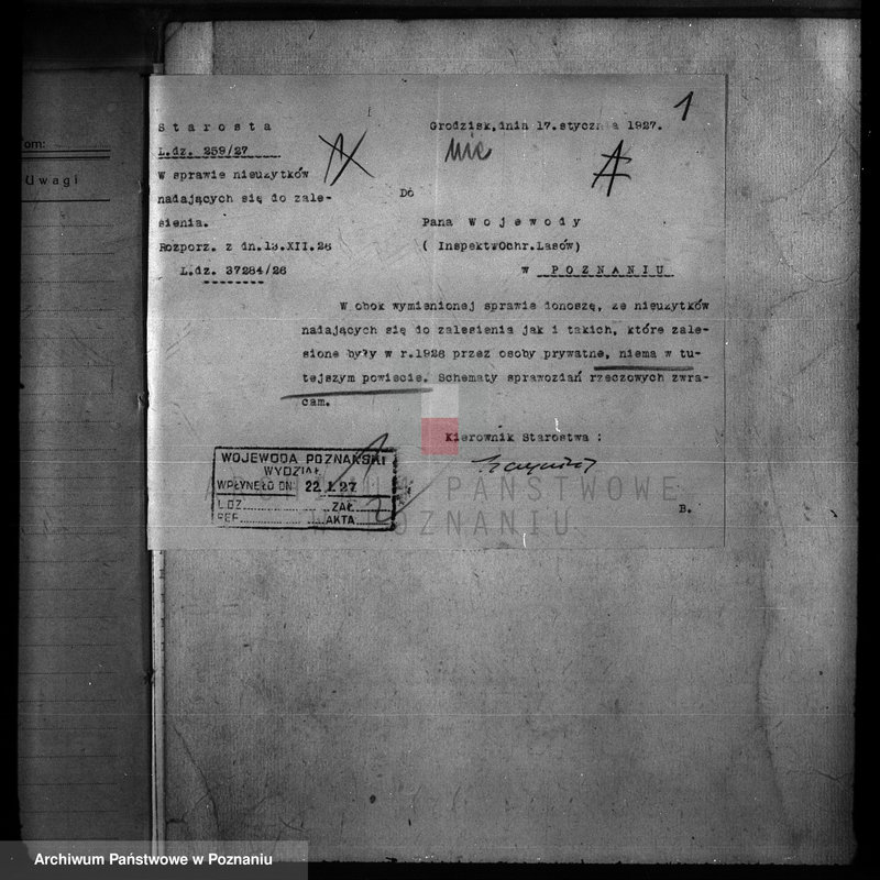 Obraz 5 z jednostki "Zalesienie nieużytków w powiecie nowotomyskim"